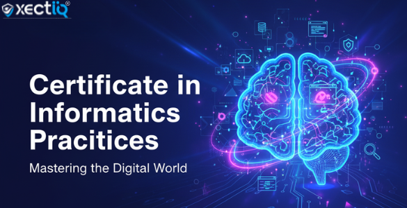 Certificate in Informatics Practices